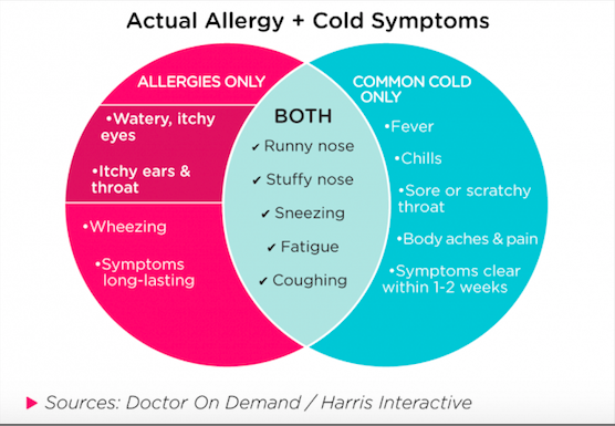 allergy-vs-cold