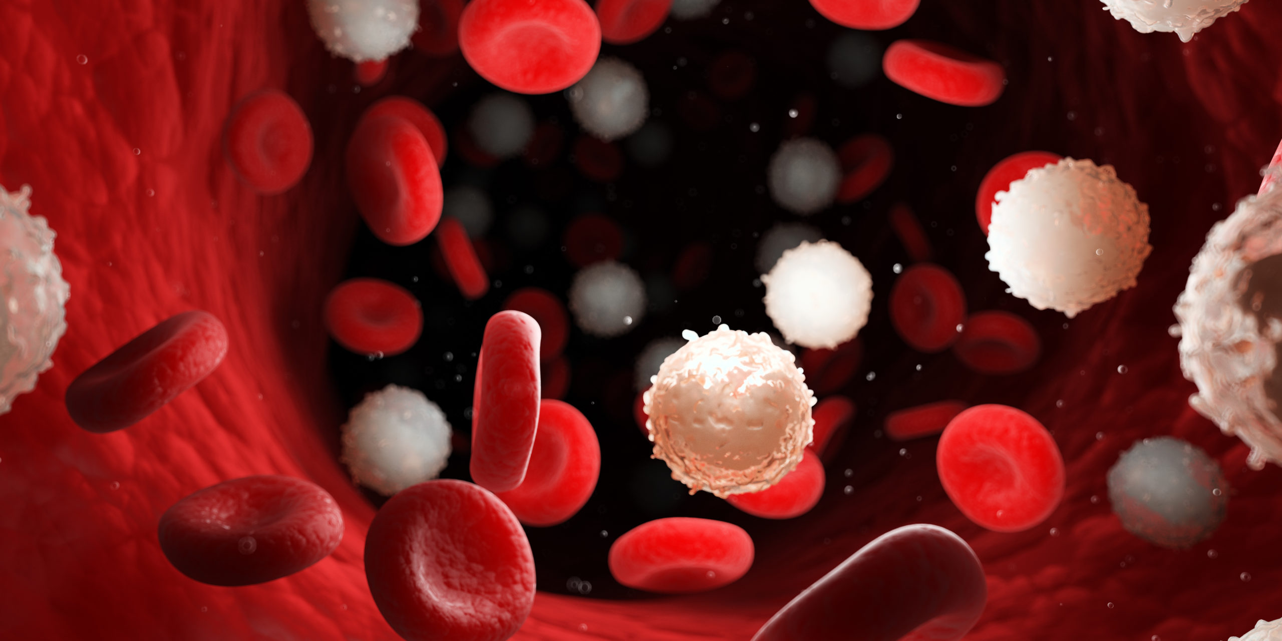 Image of red and white blood cells circulating through a pathway