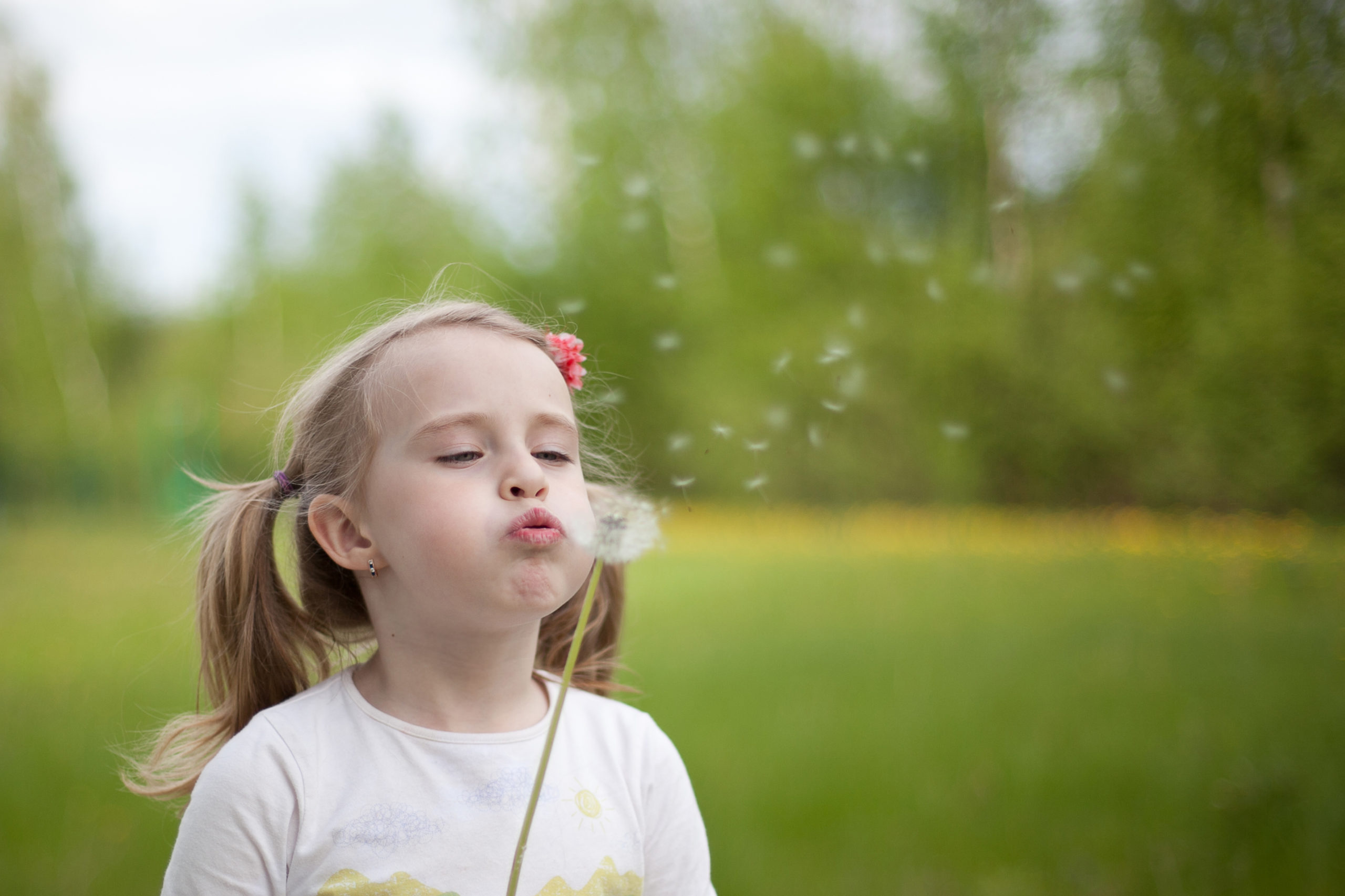 Image of a young girl standing on a grassy field blowing a dandelion